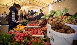 El índice de precios de los alimentos de la FAO se mantiene estable en septiembre