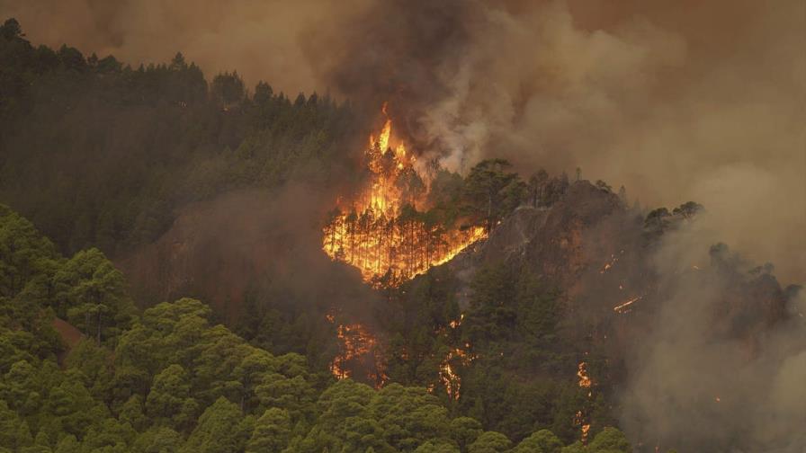 España: Incendio incontrolable en Tenerife afecta a unas 7,600 personas