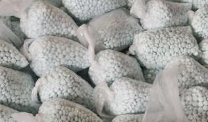 Los decomisos de fentanilo se disparan en los puertos de entrada en Arizona