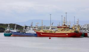 Pescadores irlandeses temen migración de especies por calentamiento del mar