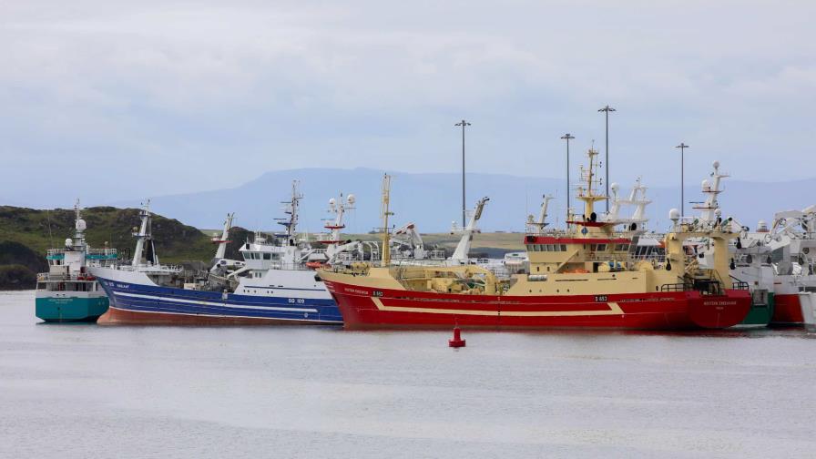 Pescadores irlandeses temen migración de especies por calentamiento del mar