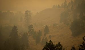 El hemisferio norte registra un récord de incendios forestales en la temporada de 2023
