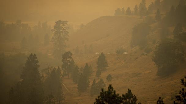El hemisferio norte registra un récord de incendios forestales en la temporada de 2023