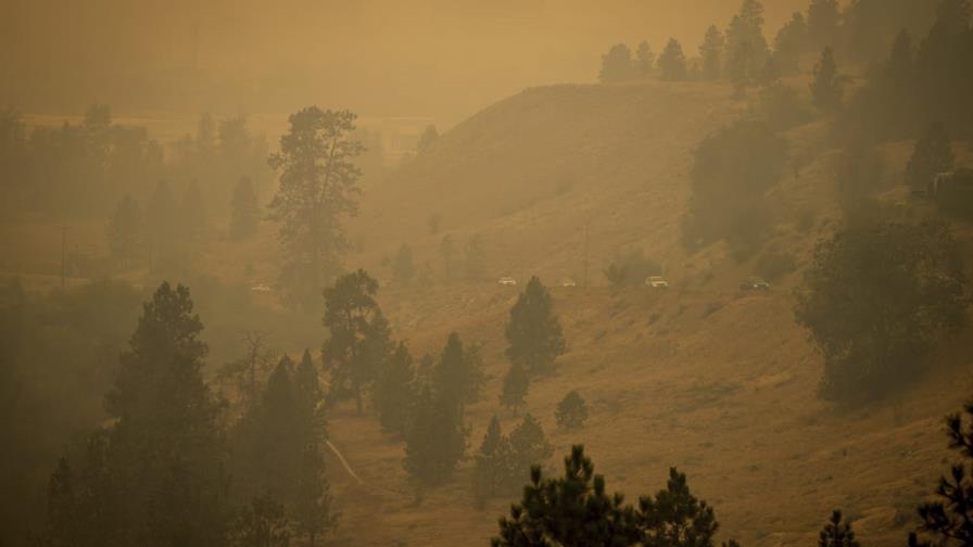 El hemisferio norte registra un récord de incendios forestales en la temporada de 2023