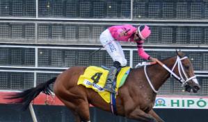 Counsellor gana el Clásico Restauración en el V Centenario