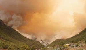 El incendio de Tenerife empieza a normalizarse tras arrasar casi 3,800 hectáreas