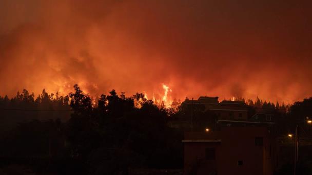Fuertes vientos dificultan combate a incendios en Grecia e Islas Canarias