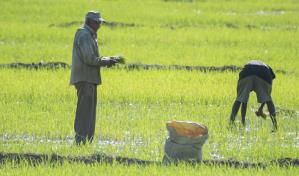 Ministerio de Agricultura y Edesur activan sus planes de contingencia ante tormenta tropical
