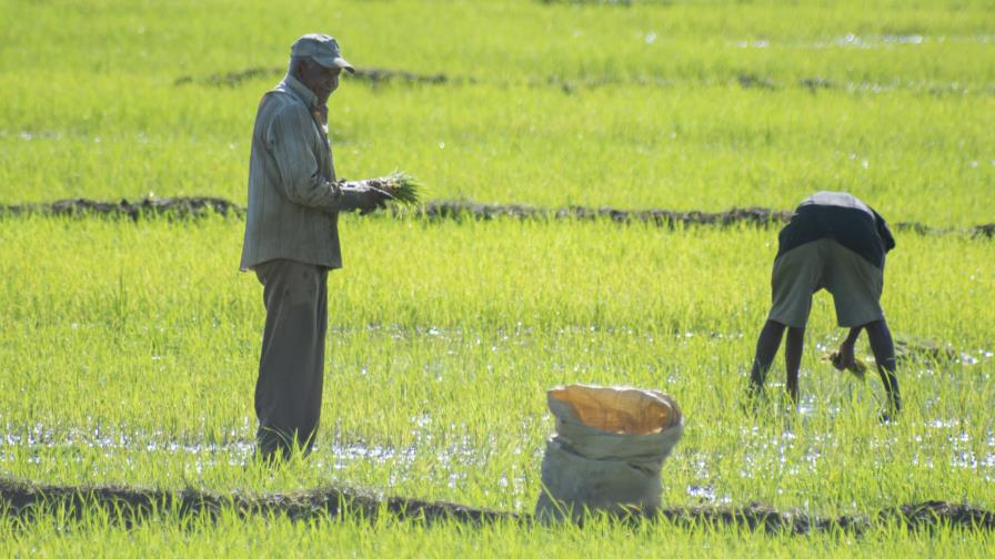 Ministerio de Agricultura y Edesur activan sus planes de contingencia ante tormenta tropical