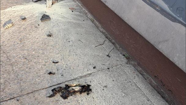 Lanzan explosivo casero en centro de votación de Guatemala