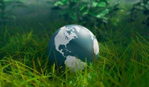 Los efectos del cambio climático en la biodiversidad