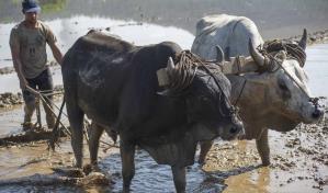 Saldo adeudado por sectores productivos aumentó en junio, a excepción de hoteles y agropecuario