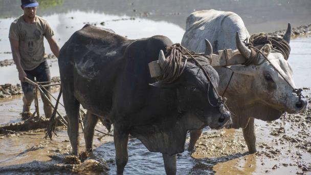 Saldo adeudado por sectores productivos aumentó en junio, a excepción de hoteles y agropecuario