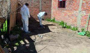 México: hallan más restos óseos en localidad de Jalisco donde desaparecieron 5 jóvenes