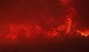 Ordenan evacuaciones antes grandes incendios descontrolados en Grecia y la isla española de Tenerife