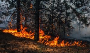 Más de 103 millones de personas en EE.UU. viven bajo alerta de condiciones extremas de clima