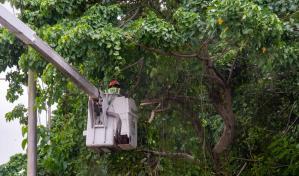 Alcaldías del Gran Santo Domingo, preparadas para enfrentar tormenta Franklin