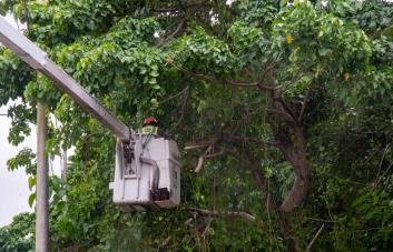 Alcaldías del Gran Santo Domingo, preparadas para enfrentar tormenta Franklin