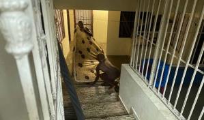 Familias de Las 800 y Villa Marina pasan tremendo susto por las cañadas