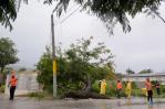 Despejan vías tras efectos de tormenta Franklin en Barahona Despejan vías tras efectos de tormenta Franklin en Barahona