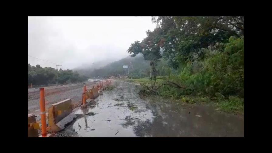 Cae árbol en tramo La Vega de la autopista Duarte