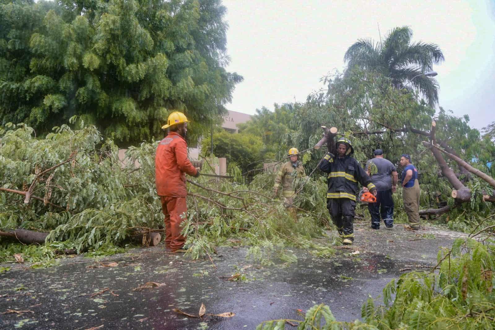 Cuadrillas de Defensa Civil y Bomberos despejan una carretera en Azua tras el paso de la tormenta Franklin.