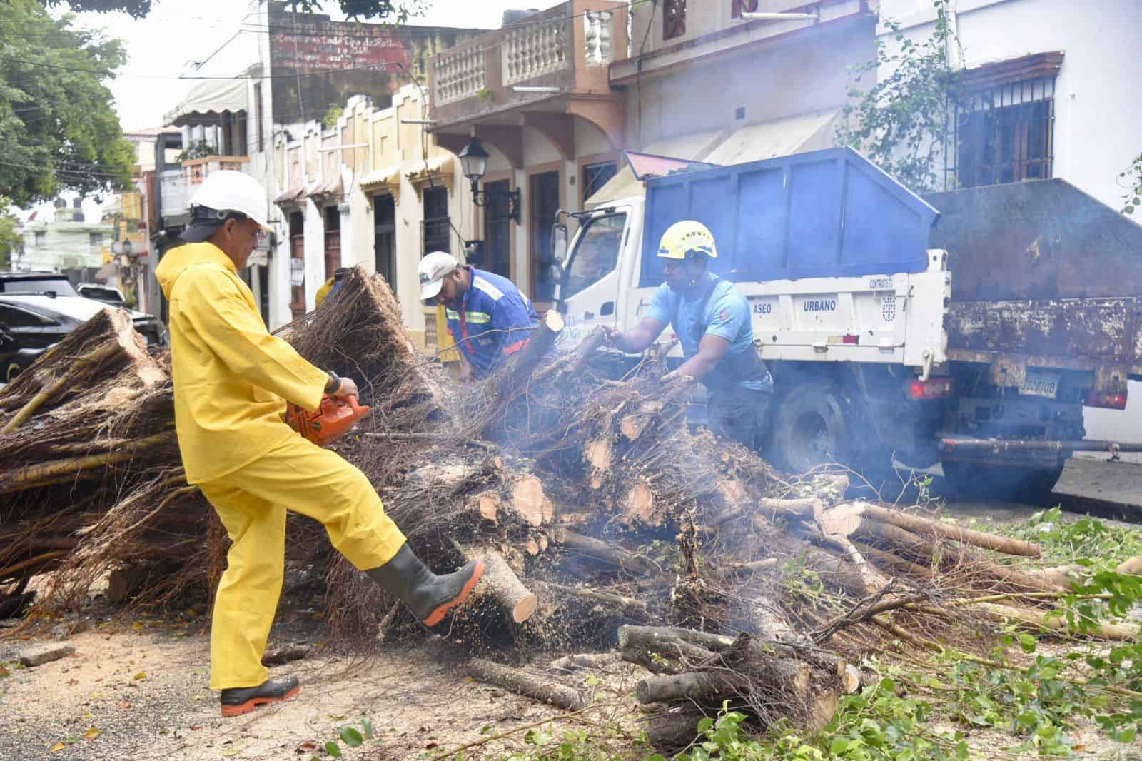 Algunos árboles cayeron en la Zona Colonial de Santo Domingo, causando daños a un vehículo pero sin registrar lesionados.