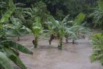 Tormenta Franklin afectó sembradíos en Azua, Ocoa y Yamasá