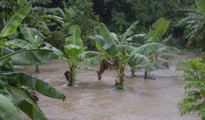 Tormenta Franklin afectó sembradíos en Azua, Ocoa y Yamasá