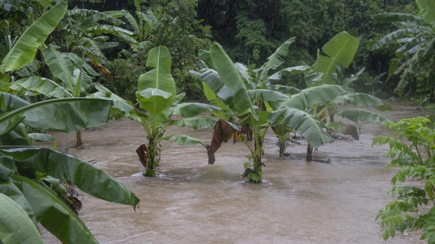 Tormenta Franklin afectó sembradíos en Azua, Ocoa y Yamasá