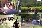 Se dispara ola migratoria a través de la selva de Panamá