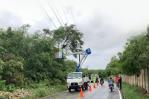 Tormenta Franklin afectó servicio eléctrico de 700,000 clientes Tormenta Franklin afectó servicio eléctrico de 700,000 clientes