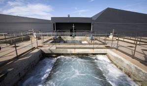 Desarrollan plan piloto para desalinizar agua en el país