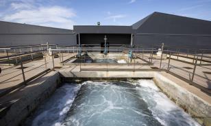 Desarrollan plan piloto para desalinizar agua en el país