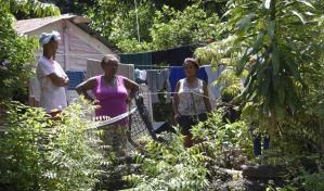 Colapsan dos cañadas en comunidad de San Cristóbal por tormenta Franklin