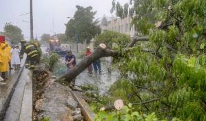 Varios árboles derribados en Baní y Azua con paso de la tormenta Franklin