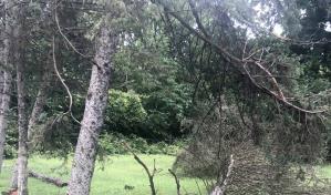 Tormentas provocan dos tornados y dejan cinco muertos en Michigan