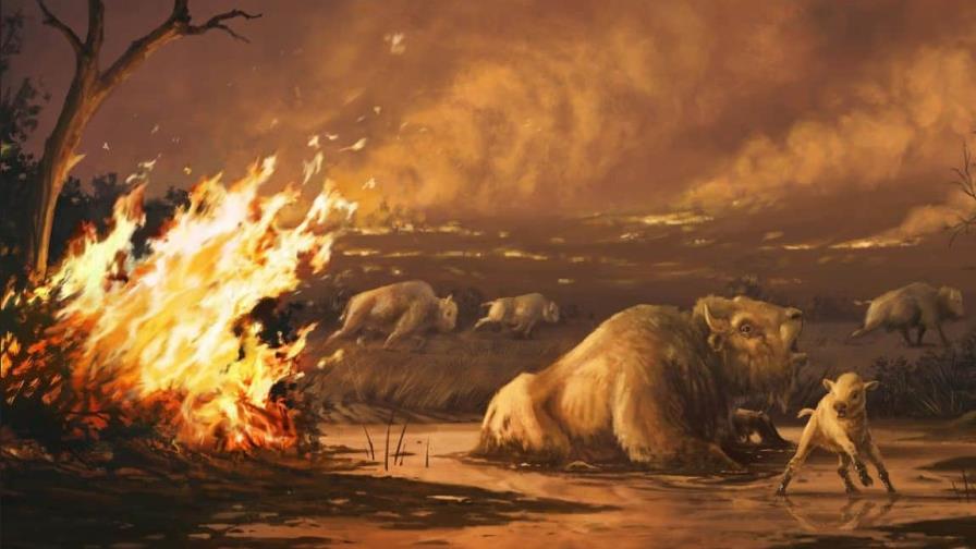 Extinción por fuegos de origen humano hace 13,000 años expone amenaza del cambio climático