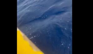 Policía investiga si caso de hombre lanzado vivo al mar ocurrió en RD