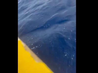 Impactante Video Muestra Cómo Lanzan Hombre Al Mar - Noticias RD - El ...