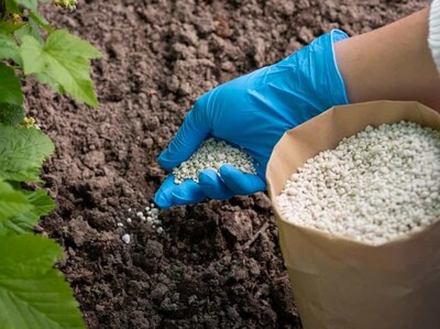 FAO alerta comercio de fertilizantes cayó 30% guerra Oriente Medio