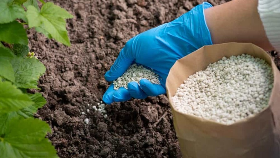 FAO alerta que comercio de fertilizantes cayó un 30% por la guerra en Oriente Medio