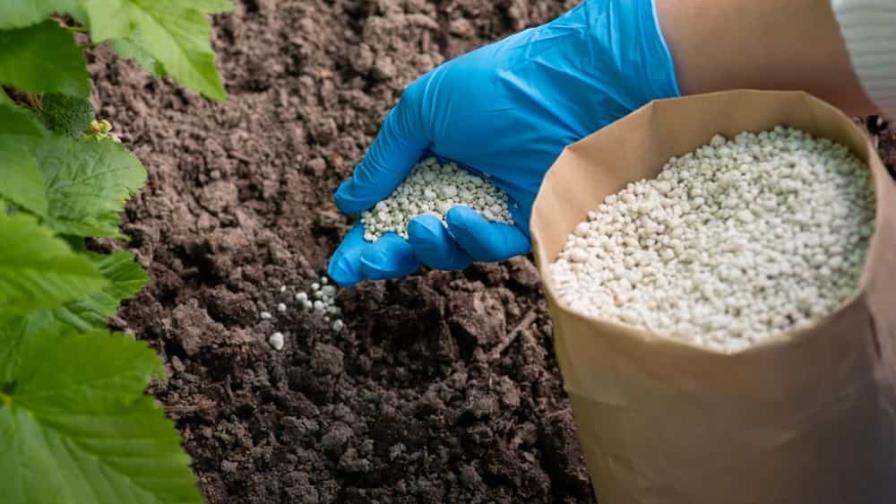 Pago de subsidios a fertilizantes espera por la aprobación del presupuesto reformulado