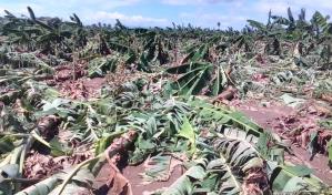 Tormenta Franklin hizo más daño después de que se fue de la RD, según ministro de Agricultura