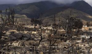 Empresa de electricidad de Hawái aborda causas de incendio forestal