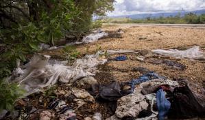 Carreteras del sur: entre costas, vegetación y basura