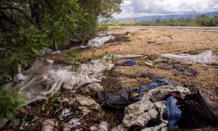 Carreteras del sur: entre costas, vegetación y basura