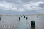 Cierran playas de Long Island debido a las corrientes de resaca provocadas por el huracán Franklin Cierran playas de Long Island debido a las corrientes de resaca provocadas por el huracán Franklin