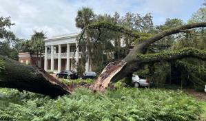 Huracán Idalia derriba roble de 100 años sobre mansión de Ron DeSantis mientras su familia estaba adentro