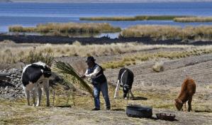 Cambio climático podría aumentar número de muertes relacionadas con conflictos, afirma el FMI